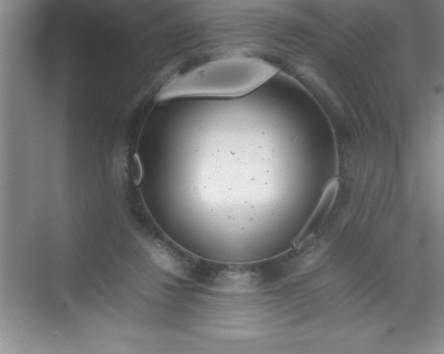 X0000070230260200606091724