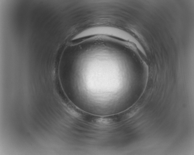 X0000070230261200606091725