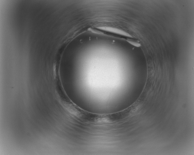 X0000070230262200606091725