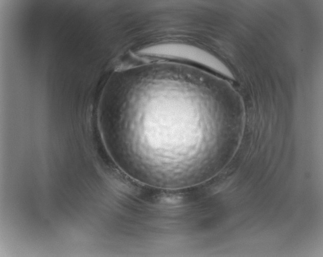 X0000070230263200606091725