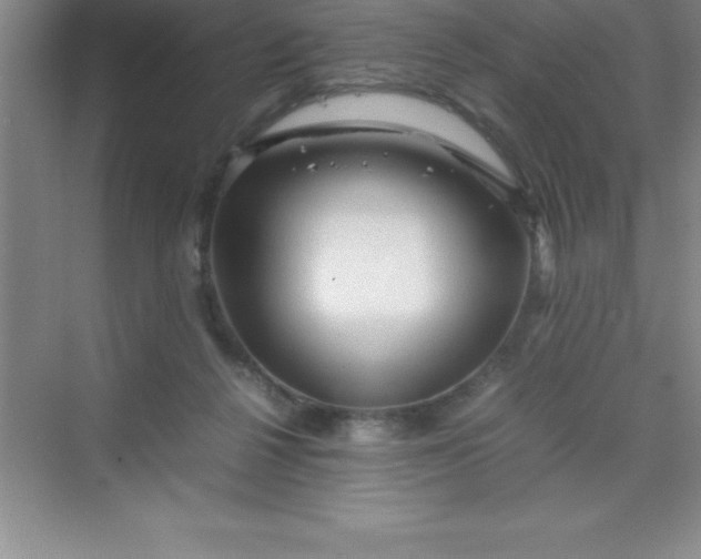 X0000070230264200606091725