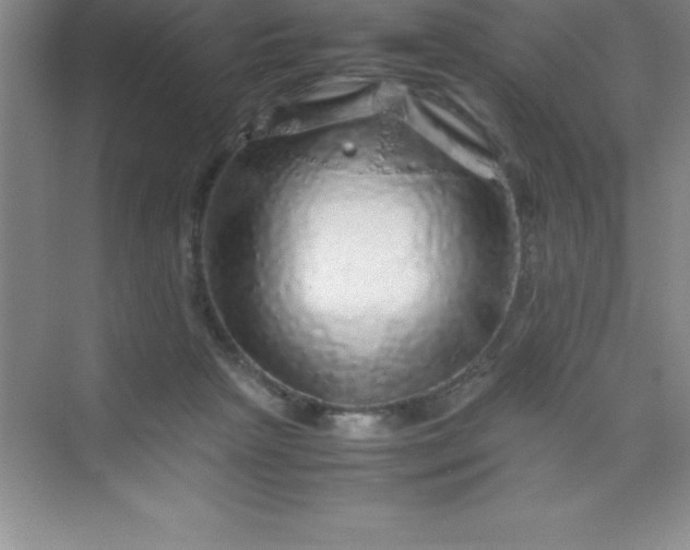 X0000070230265200606091725