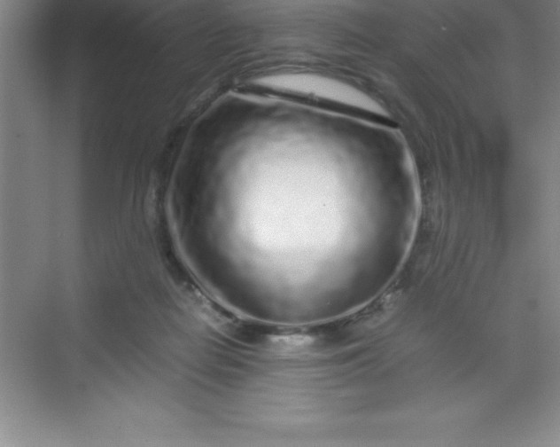 X0000070230266200606091725