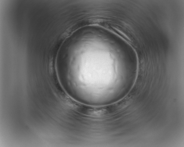 X0000070230267200606091725