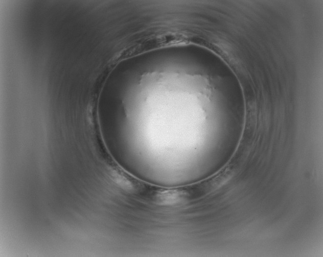 X0000070230269200606091725