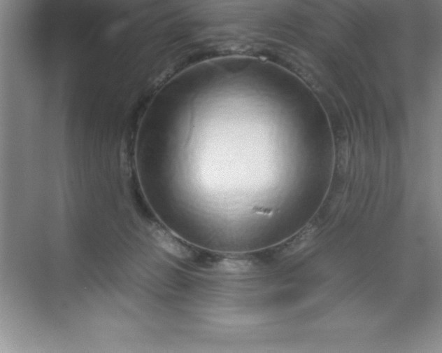 X0000070230270200606091725