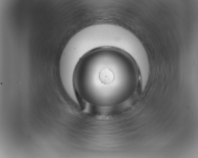 X0000070230272200606091725