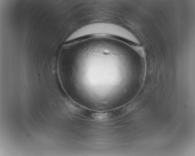 X0000070230273200606091725