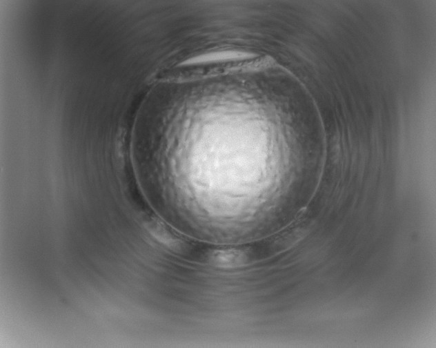 X0000070230275200606091725