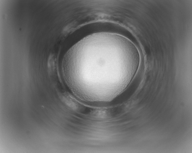 X0000070230276200606091725