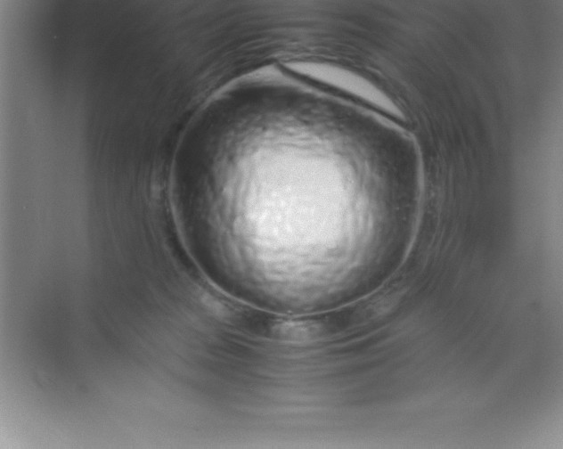 X0000070230277200606091725