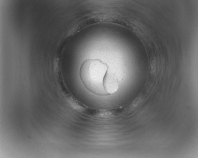 X0000070230278200606091725