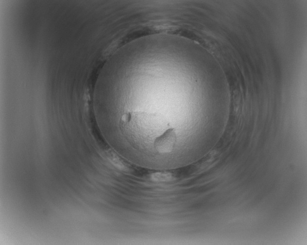 X0000070230279200606091725