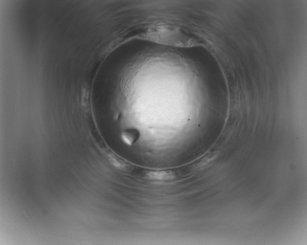 X0000070230281200606091725