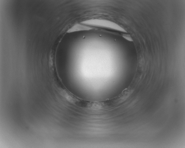 X0000070230282200606091725