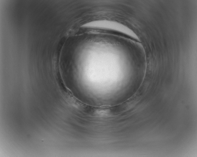 X0000070230283200606091725