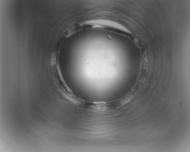 X0000070230284200606091725