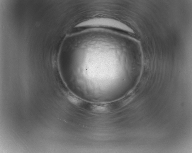 X0000070230285200606091725