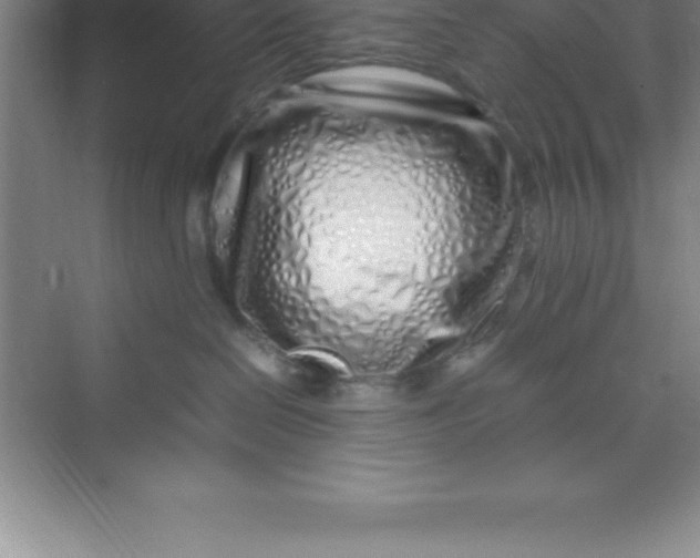 X0000070230286200606091725