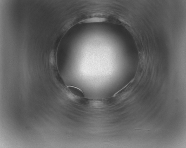 X0000070230287200606091725