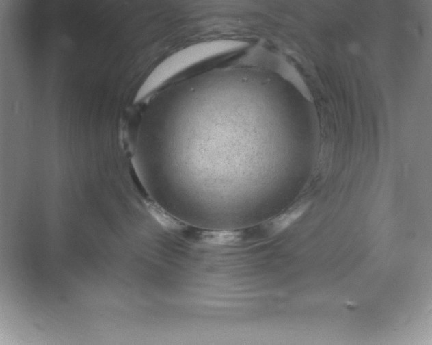 X0000070230288200606091725