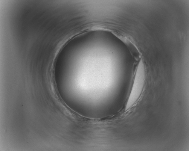 X0000070230289200606091724