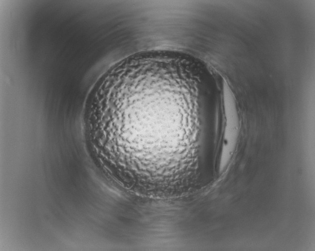 X0000070230290200606091724