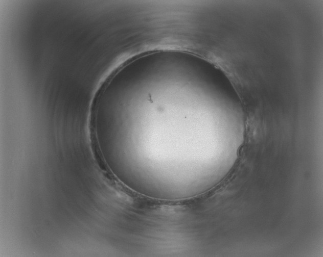 X0000070230292200606091724