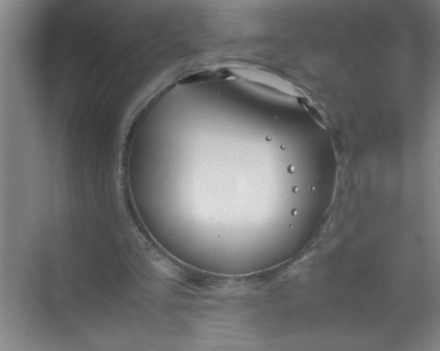 X0000070230293200606091724