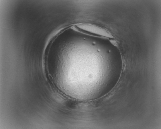 X0000070230294200606091724