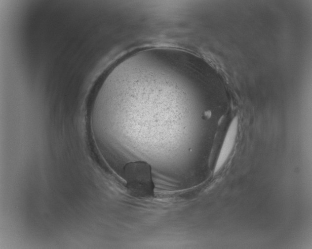 X0000070230295200606091724