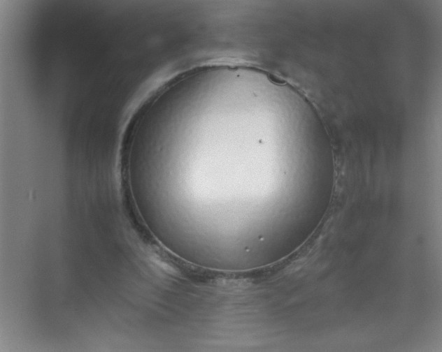 X0000070230296200606091724