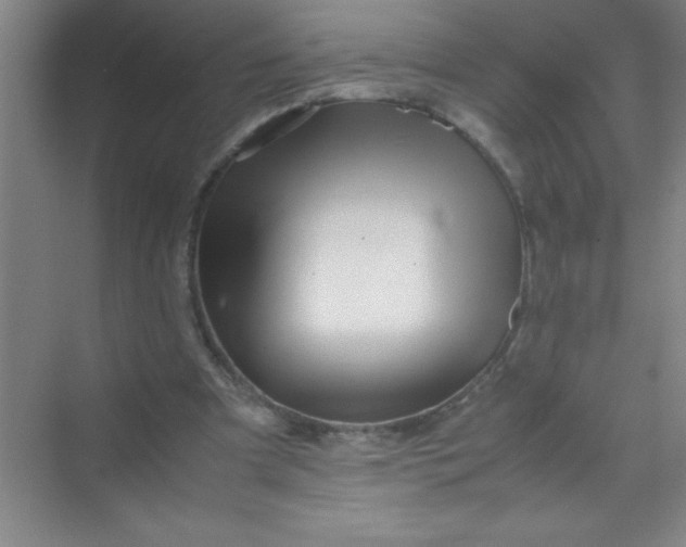 X0000070230297200606091724