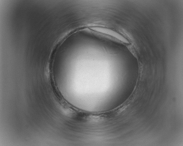 X0000070230298200606091724