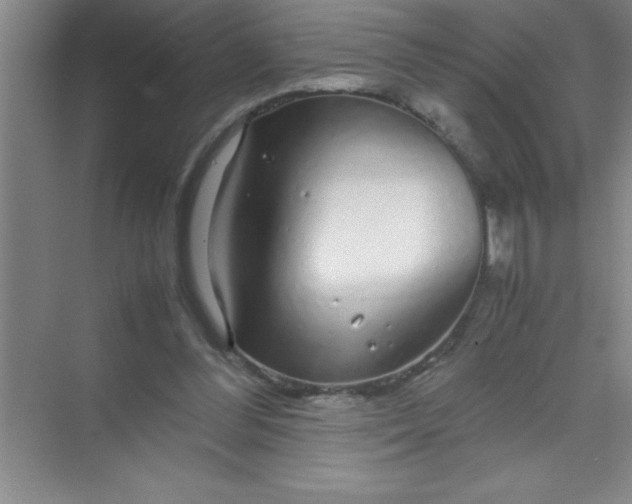 X0000070230300200606091724