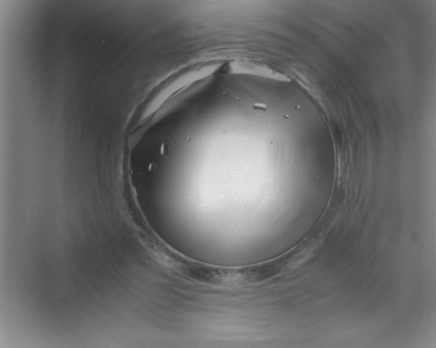 X0000070230301200606091724