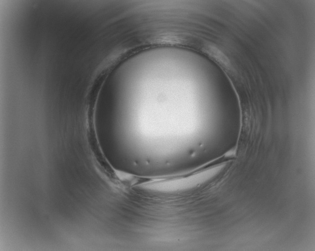 X0000070230302200606091724