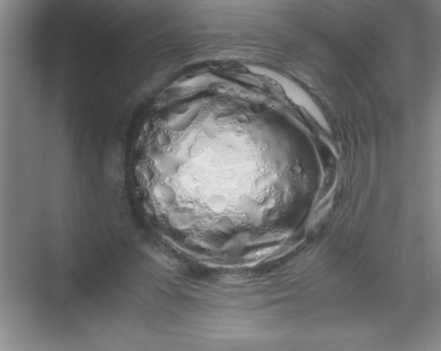 X0000070230303200606091724