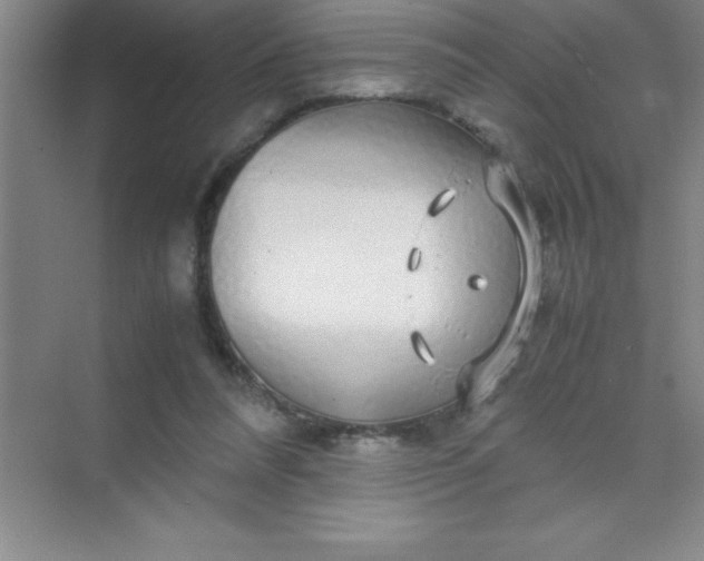 X0000070230304200606091724