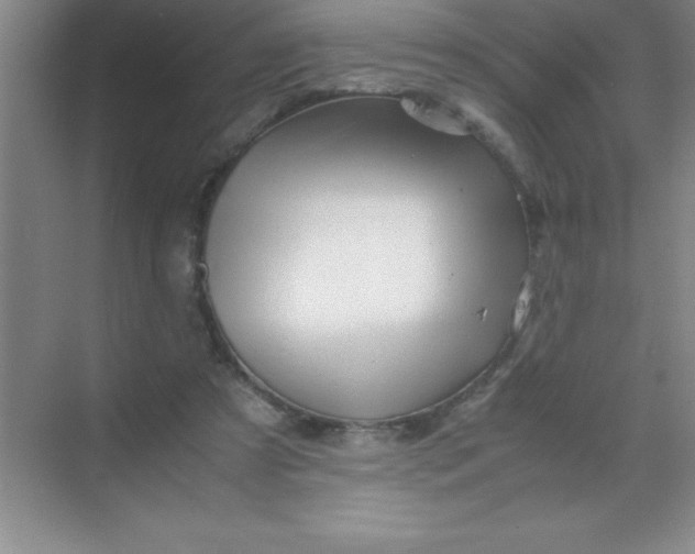 X0000070230305200606091724