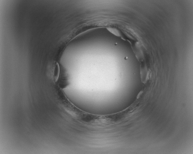 X0000070230307200606091724