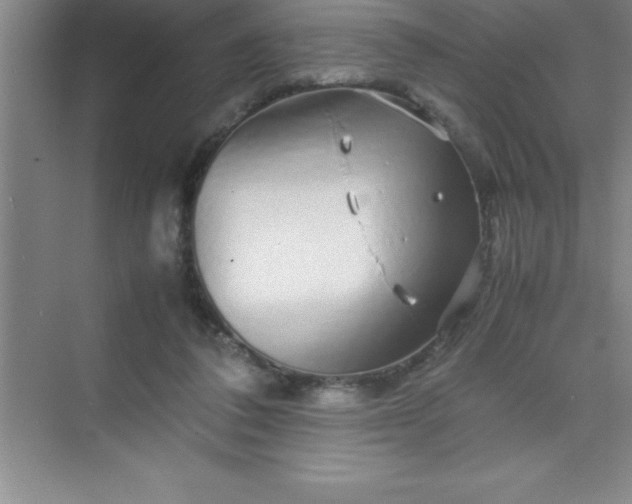 X0000070230308200606091724