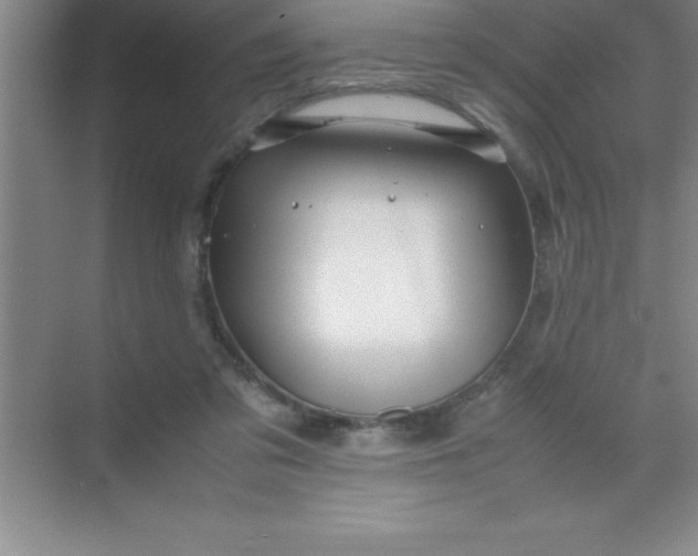 X0000070230309200606091724