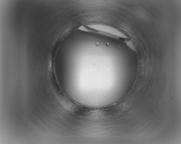 X0000070230310200606091724