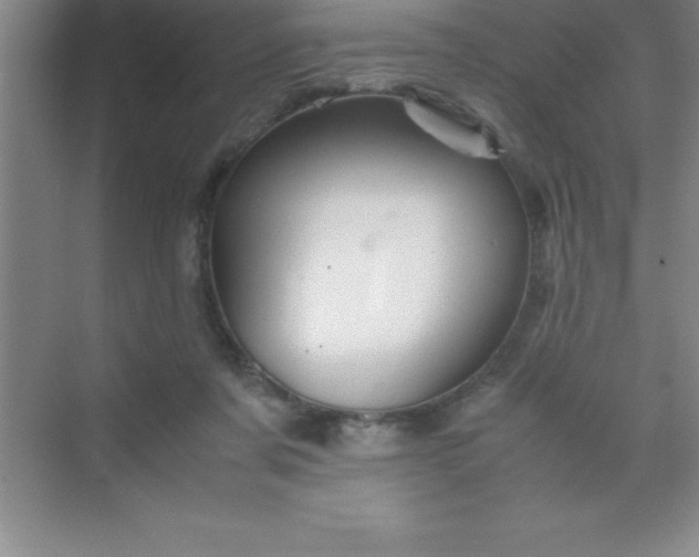 X0000070230311200606091724