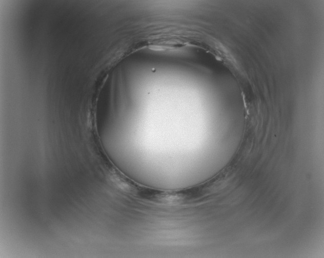 X0000070230313200606091724