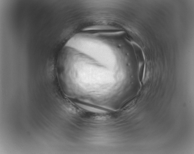 X0000070230314200606091724