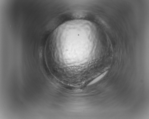 X0000070230315200606091724