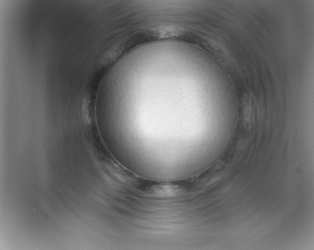 X0000070230316200606091724