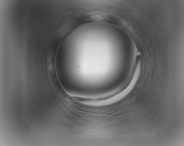 X0000070230317200606091724